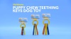 Show in main carousel: Nylabone Just for Puppies Teething Chew Toy Keys Bacon, Large slide 11 of 14