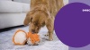 Show in main carousel: Nina Ottosson by Outward Hound Stuff N' Snuffle Interactive Plush Puzzle & Snuffle Ball Dog Toy slide 9 of 10