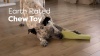 Show in main carousel: Earth Rated Natural Rubber Dog Enrichment Toy, Small slide 9 of 10