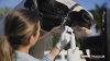 Show in main carousel: Safe-Guard Fenbendazole 10% Paste Horse Dewormer, 92-gm tube slide 7 of 9