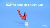 Show in main carousel: Dogs My Love Nylon Dog Headcollar, Red, Medium: 15 to 19.5-in neck, 3/4-in wide slide 5 of 6