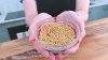 Show in main carousel: Vetafarm Wild Earth Lorikeet & Lory Bird Food, 1-lb bag slide 10 of 11