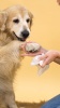 Show in main carousel: Lumi-noble Cleansing Dog, Cat & Small Pet Wipes, 100 count slide 7 of 7
