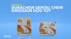 Show in main carousel: Nylabone Power Chew Dental Chew Chicken Flavored Dinosaur Dog Chew Toy, Character Varies, Small slide 9 of 11