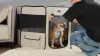 Show in main carousel: Petsfit Portable Waterproof Bottom Dog Playpen with Zipper Removable Mesh Top Cover, Black, Medium: 36 x 36 x 21-in slide 10 of 10