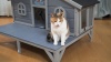Show in main carousel: Coziwow Wooden Outdoor Heated Cat House, Grey slide 10 of 11