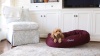 Show in main carousel: Majestic Pet Suede Personalized Bagel Cat & Dog Bed, Stone, Large slide 7 of 7