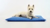 Show in main carousel: K&H Pet Products Cool Bed III Dog Pad, Blue, Large slide 11 of 13