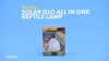 Show in main carousel: Exo Terra Solar Glo All in One Reptile Bulb, 125-w slide 5 of 6