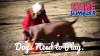 Show in main carousel: KONG Jumbler Football Dog Toy, Color Varies, Medium/Large slide 9 of 10