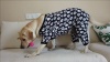 Show in main carousel: CuteBone Skull Big Dog Pajamas, Black & White, Large slide 10 of 11