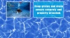 Swimming Pool Safety Tips