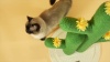 Show in main carousel: THE LICKER STORE Socorro 34.25-in Modern Jute Double-Cactus with Flower Toys Cat Scratching Post, Green/White slide 10 of 11