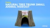 Show in main carousel: Kaytee Natural Tree Trunk Small Animal Hideout, Small slide 9 of 11