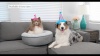 Show in main carousel: Huxley & Kent Party Crown Dog & Cat Hat, Pink, Small slide 7 of 8