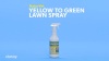 Show in main carousel: NaturVet Yellow to Green Lawn Spray, 32-fl oz bottle slide 5 of 5