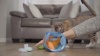 Show in main carousel: Catstages Hide & Seek Fish Bowl Interactive Cat Puzzle Toy, Blue slide 10 of 11