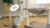 Show in main carousel: PAWZ Road 28-in Polyester Cat Tree Tower with Sisal Scratching Posts, Small, Green slide 10 of 10