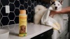 Show in main carousel: Burt's Bees Calming Hemp Dog Shampoo, 16-fl oz bottle slide 5 of 5