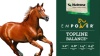 Show in main carousel: Nutrena Empower Topline Balance Horse Supplement, 40-lb bag slide 9 of 10