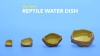Show in main carousel: Exo Terra Reptile Water Dish, Small slide 5 of 6