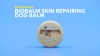 Show in main carousel: Dermoscent BioBalm Skin Repairing Dog Balm, 1.67-oz jar slide 5 of 6