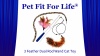 Show in main carousel: Pet Fit For Life 3 Feather Dual Rod Wand Cat Toy slide 8 of 9