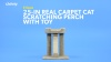 Show in main carousel: Frisco 24-in Real Carpet Wooden Cat Scratching Perch with Toy, Beige slide 5 of 6