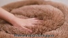 Show in main carousel: MIXJOY Ultra Soft Machine Washable Bolster Dog & Cat Bed, Brown, X-Small slide 8 of 8