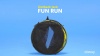 Show in main carousel: Outback Jack Fun Run Cat Tunnel slide 4 of 5