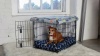 Show in main carousel: Molly Mutt Clark Gable Dog Crate Cover, Gray, 24-in slide 5 of 6