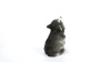 Show in main carousel: Hi-Line Gift Alaskan Malamute Puppy Howling Statue, 6.69-in slide 8 of 8