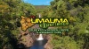 The Umauma Experience | Hawaii Zipline & ATV Tours