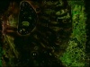 Tamper Oh No Part II thumbnail