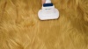 Show in main carousel: OneIsAll Pet Grooming Vacuum, Adjustable Blow Dryer & Clipper Grooming Kit slide 11 of 13