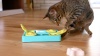 Show in main carousel: Catstages Fresh Breath Mint Stick Cat Chew Toy slide 10 of 11