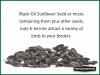 Show in main carousel: Pennington Select Black Oil Sunflower Seed Wild Bird Food, 40-lb bag slide 10 of 12