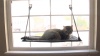 Show in main carousel: K&H Pet Products EZ Mount Cat Window Perch Kitty Sill, Gray slide 12 of 14