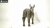 Show in main carousel: Hi-Line Gift Standing Grey Donkey Statue, Gray, 15.16-in slide 10 of 10