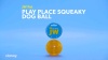 Show in main carousel: JW Pet Play Place Squeaky Dog Ball, Color Varies, Medium slide 6 of 7