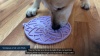 Show in main carousel: SodaPup Lotus EMat Dog Lick Mat, Light Green slide 8 of 8