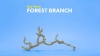 Show in main carousel: Exo Terra Forest Branch, Small slide 3 of 4