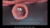 Watch a video on the ULTOMIRIS Mechanism of Action