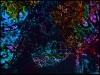 A Poem Thorn Part II thumbnail