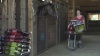 Show in main carousel: Tribute Equine Nutrition Wholesome Blends Balancer Horse Feed, 50-lb bag slide 10 of 11