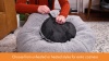 Show in main carousel: K&H Pet Products Tunnel Thermo Heated Cat Bed, Grey slide 9 of 9