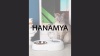 Show in main carousel: HANAMYA Dog & Cat Automatic Waterer & Stainless Steel Bowl, Blue slide 9 of 10