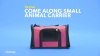 Show in main carousel: Kaytee Come Along Small Animal Carrier, Color Varies, Large slide 10 of 11