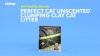 Show in main carousel: Pet Healthy Brands Perfect Cat Unscented Clumping Natural Cat Litter, 4-lb bag slide 5 of 6