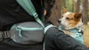 Show in main carousel: Ruffwear Hitch Hiker Backpack Dog Carrier, River Rock Green, Small slide 7 of 8